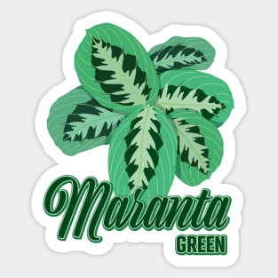 Maranta Green Sticker